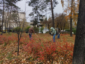 Более 2 тонн мусора вывезли из Новосибирска