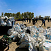 250 неравнодушных новосибирцев приняли участие в очистке береговой линии
